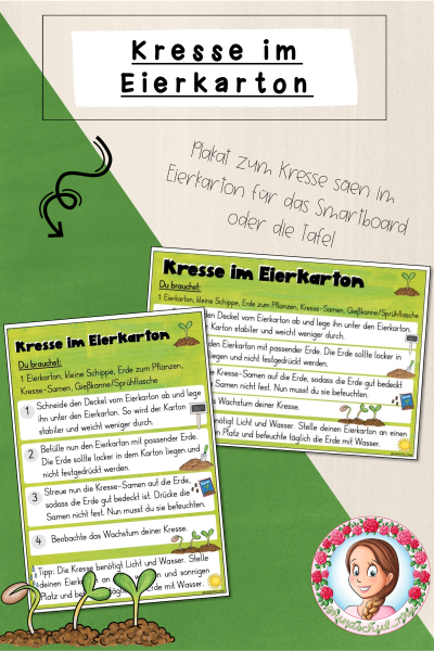 Kresse im Eierkarton – Anleitung (1120192)