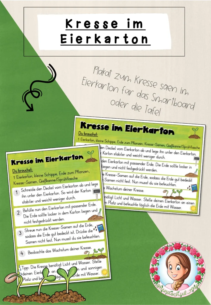 Kresse im Eierkarton Sachunterricht Klasse 1-2 - Anleitung