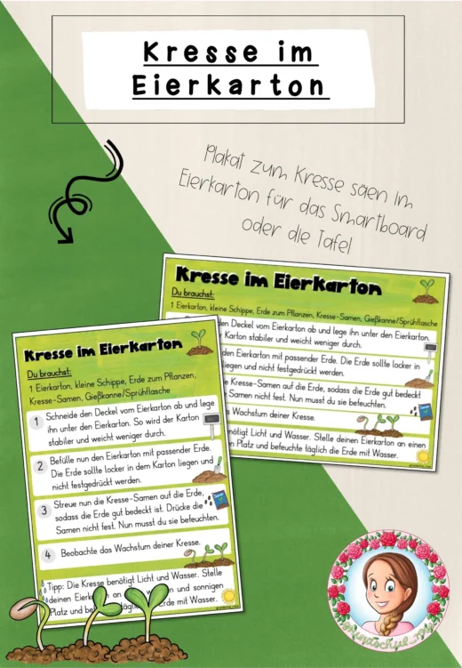 Kresse im Eierkarton – Anleitung