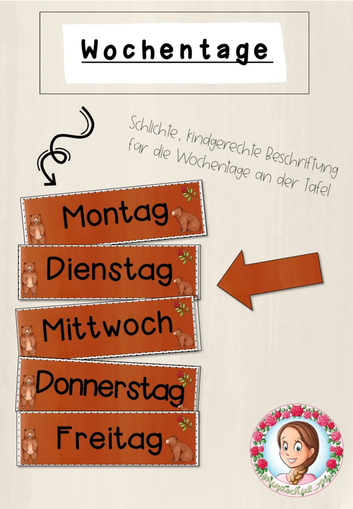 Klassenorganisation Bären Klasse 1 - Cover für Klasse 1