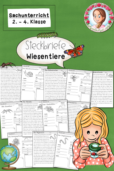 Steckbriefe Frühling Wiesentiere (Klasse 2 bis 4) Sachunterricht (1675607)