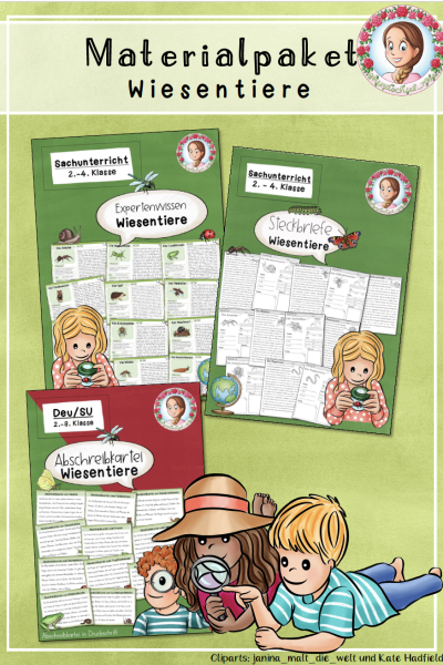 Materialpaket zu den Wiesentieren / Wiesentiere (1675617)