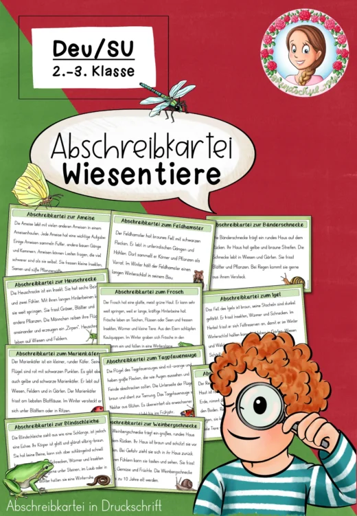 Abschreibkartei Wiesentiere | Druckschrift Klasse 2-3