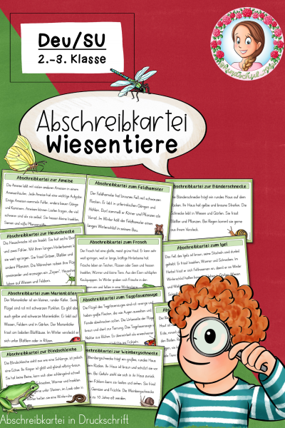 Abschreibkartei Wiesentiere (Druckschrift) 2. – 3. Klasse (1679119)