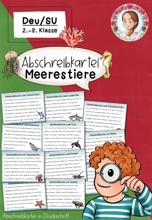 Abschreibkartei Meerestiere (Druckschrift) 2. – 3. Klasse