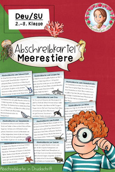 Abschreibkartei Meerestiere (Druckschrift) 2. – 3. Klasse (1687491)