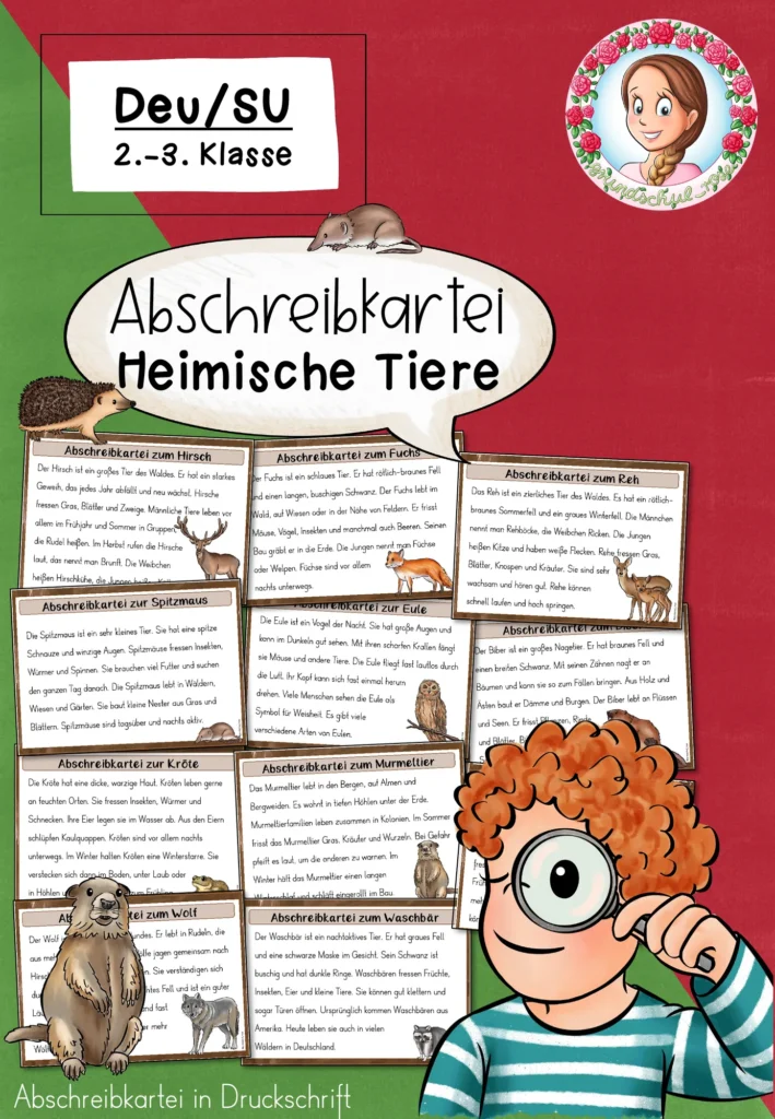 Heimische Tiere Abschreibkartei | Deutsch & Sachunterricht Klasse 2-3 Cover