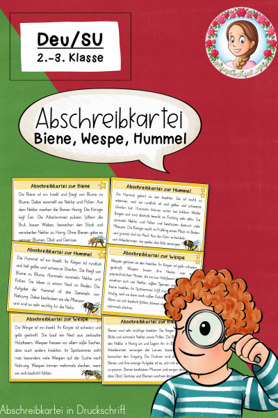 Abschreibkartei Biene, Hummel, Wespe (Druckschrift) 2. – 3. Klasse Sachunterricht (1700641)