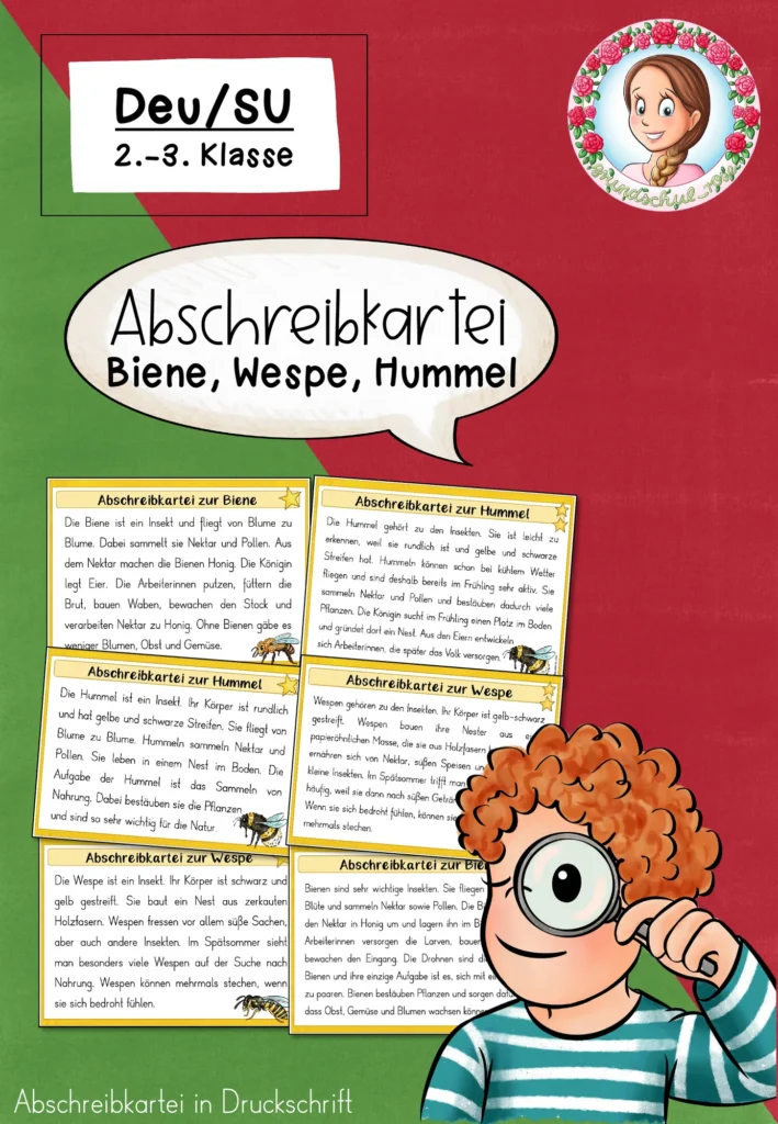 Biene Hummel Wespe Abschreibkartei | Sachunterricht Klasse 2-3 Cover