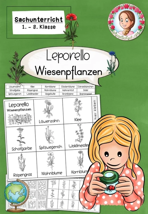 Leporello Wiesenpflanzen | Sachunterricht Klasse 1-3