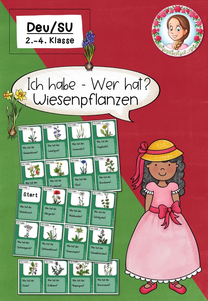 Wiesenpflanzen Ich habe wer hat | Sachunterricht Klasse 2-4 Cover