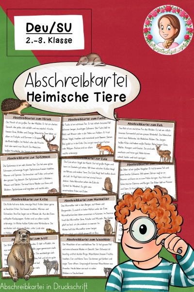 Abschreibkartei Heimische Tiere (Druckschrift) 2. – 3. Klasse – 1699432