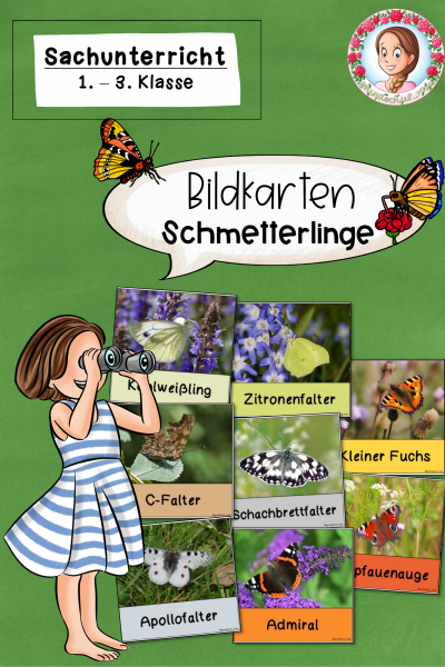 Bildkarten zu den Schmetterlingen / Schmetterling (1.-3. Klasse) – 1113866