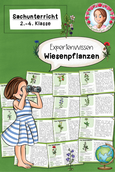 Expertenwissen Frühling Die Wiesenpflanzen (Klasse 2 bis 4) – 831888