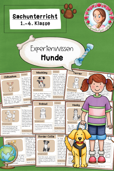 Expertenwissen zu den Hunden / Hunde (1.-4. Klasse) – 783330