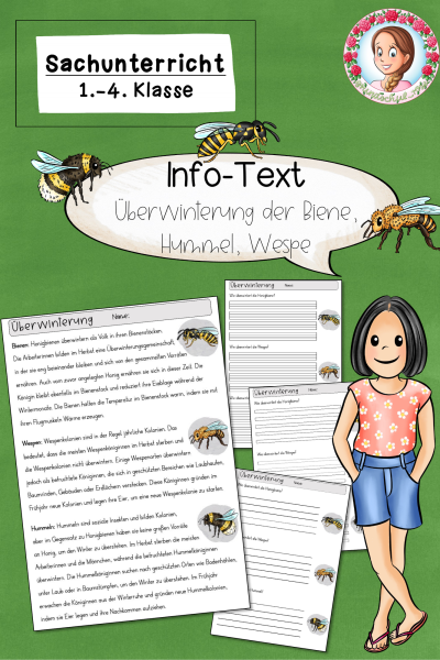 FREEBIE: Infotext zur Überwinterung der Biene, Hummel, Wespe – 908561