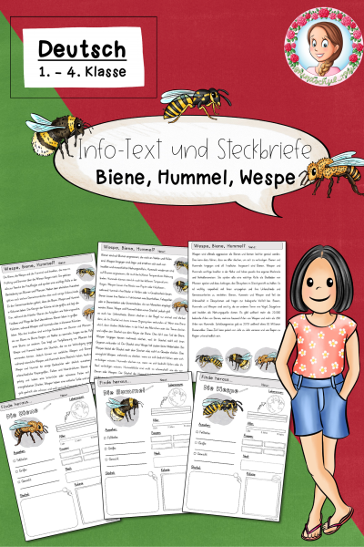 Infotext und Steckbriefe zur Biene, Wespe, Hummel (Insekten) (1.-4. Klasse) – 834135