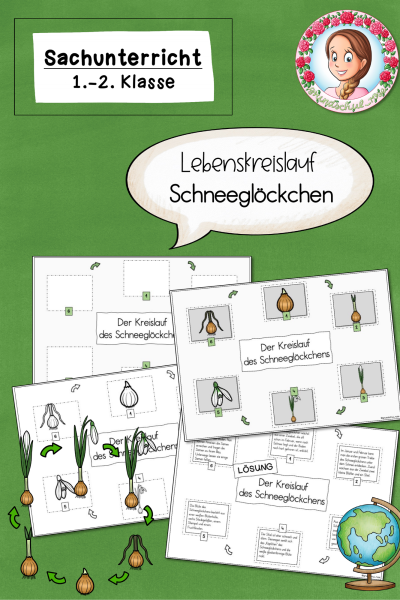Lebenskreislauf des Schneeglöckchens / Frühblüher (1.-2. Klasse) – 293244