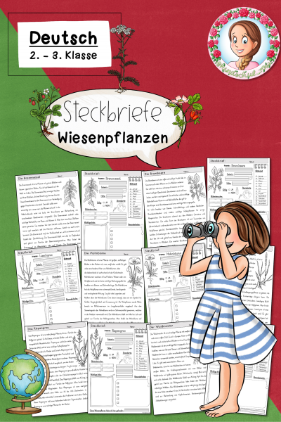 Steckbriefe Frühling Wiesenpflanzen(Klasse 2 bis 4) Sachunterricht – 832566