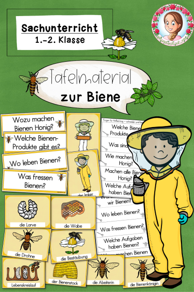 Tafelmaterial und Bildkarten zu der Biene / Bienen (1.-2. Klasse) – 852041