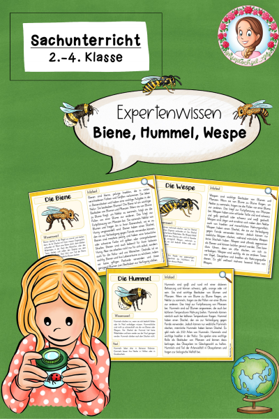 Wissenskartei zur Biene, Hummel und Wespe (2.-4. Klasse) – 835334