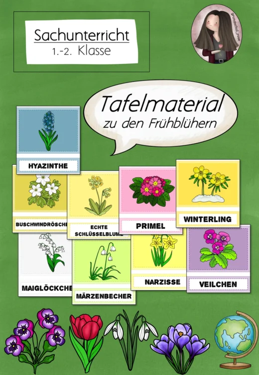 Tafelmaterial zu den Frühblühern / Frühblüher (1.-2. Klasse)