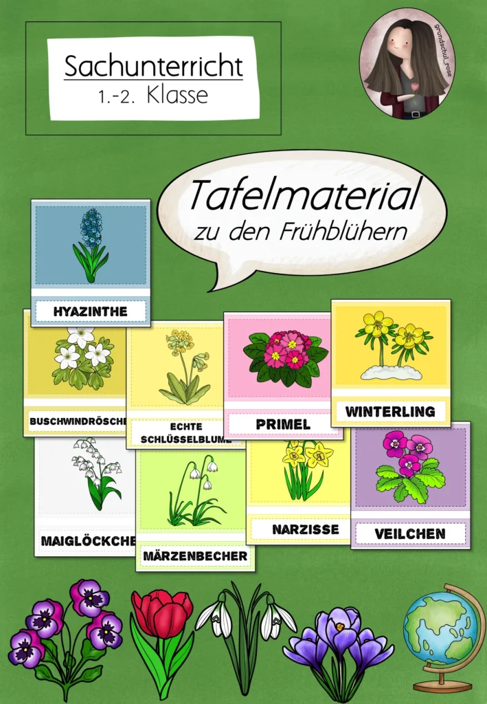 Frühblüher Grundschule | Tafelmaterial Sachunterricht Klasse 1-2 Cover