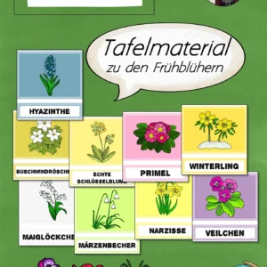Tafelmaterial zu den Frühblühern / Frühblüher (1.-2. Klasse)