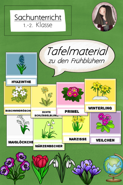 Tafelmaterial zu den Frühblühern / Frühblüher (1.-2. Klasse) (291977)