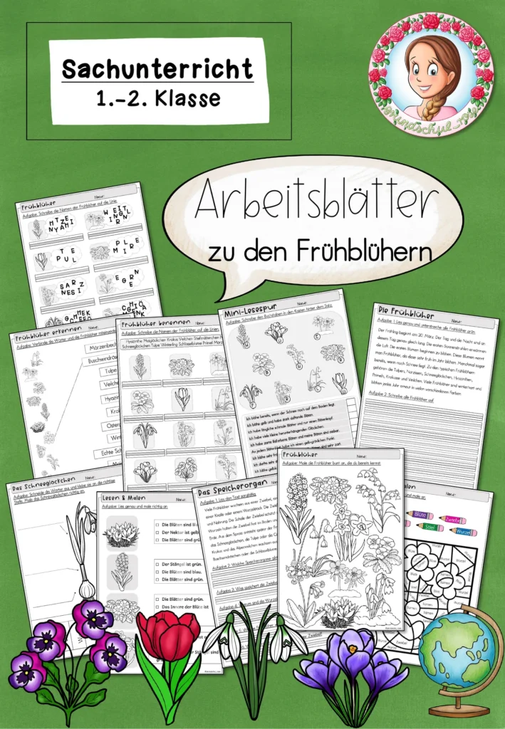 Arbeitsblätter Frühblüher Klasse 1 bis 2 Frühling