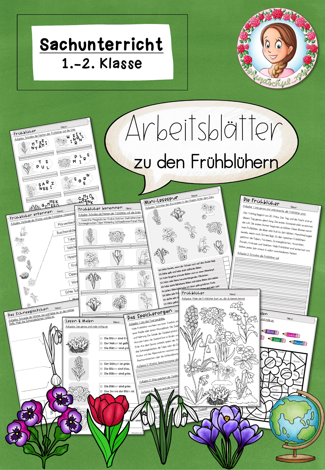 Frühblüher Grundschule | Arbeitsblätter Sachunterricht Klasse 1-2