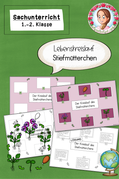 Lebenskreislauf des Stiefmütterchens / Frühblüher (1.-2. Klasse) (293229)