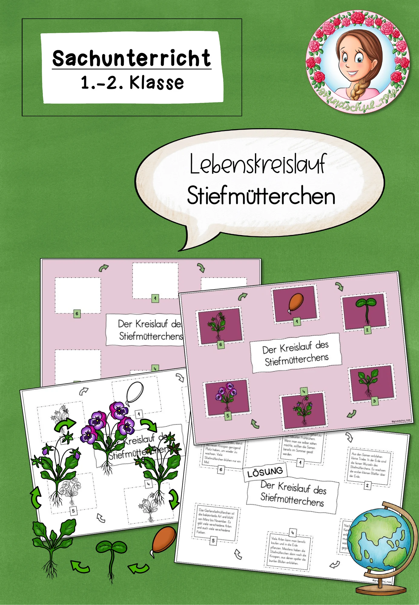 Stiefmütterchen Lebenskreislauf | Frühblüher Sachunterricht Klasse 1-2