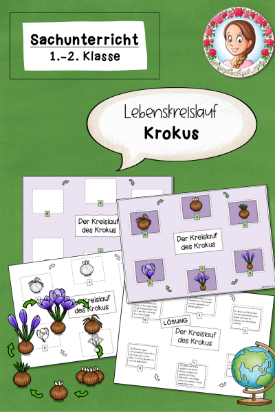 Lebenskreislauf des Krokus / Frühblüher (1.-2. Klasse) (293239)