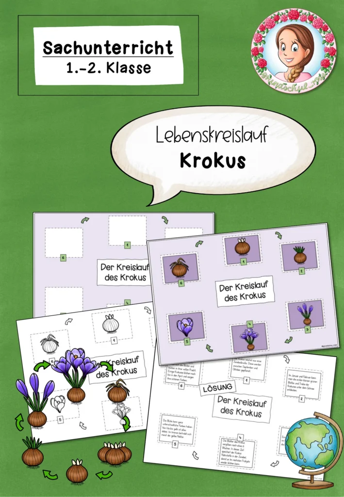 Krokus Lebenskreislauf | Frühblüher Sachunterricht Klasse 1-2 Cover