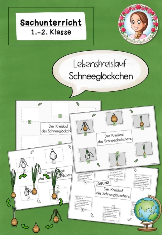 Lebenskreislauf des Schneeglöckchens / Frühblüher (1.-2. Klasse)