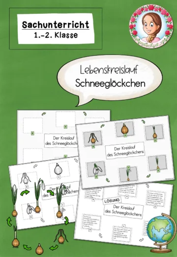 Cover: Schneeglöckchen Lebenskreislauf | Frühblüher Sachunterricht Klasse 1-2 – digitales Unterrichtsmaterial für die Grundschule