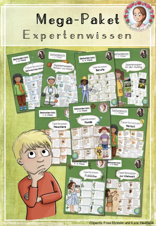Mega-Paket „Expertenwissen“ (Wissenskartei)