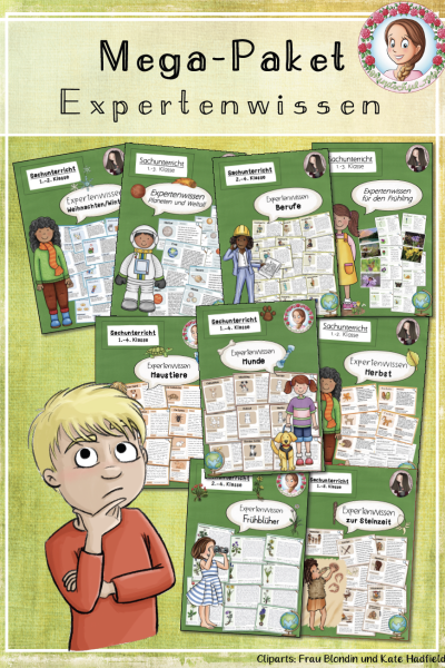 Mega-Paket „Expertenwissen“ (Wissenskartei) (488991)