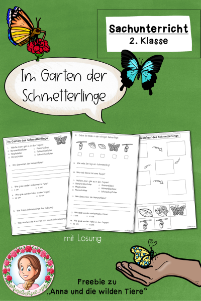 FREEBIE: „Im Garten der Schmetterlinge“ (2. Klasse) zur Wissensserie „Anna und die wilden Tiere“ / Schmetterling (596119)