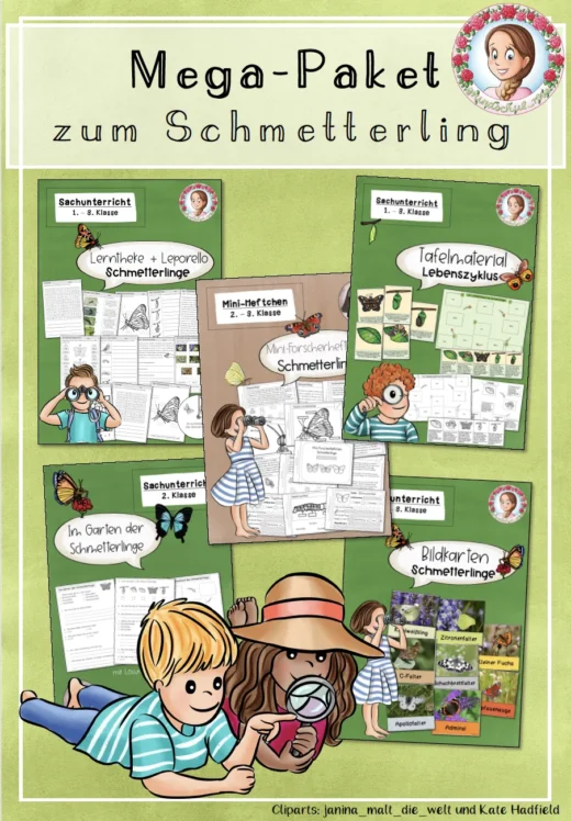 Mega-Paket zu den Schmetterlingen / Schmetterling
