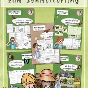 Mega-Paket zu den Schmetterlingen / Schmetterling