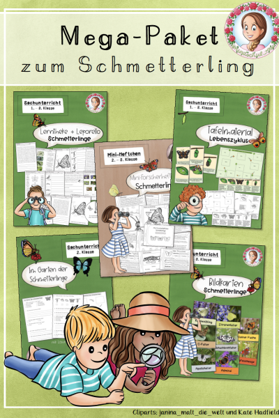 Mega-Paket zu den Schmetterlingen / Schmetterling (614788)