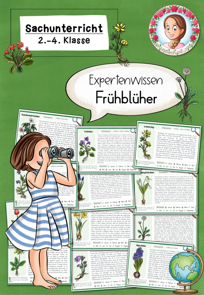 Frühblüher Wissenskartei | Sachunterricht Klasse 2-4 Cover