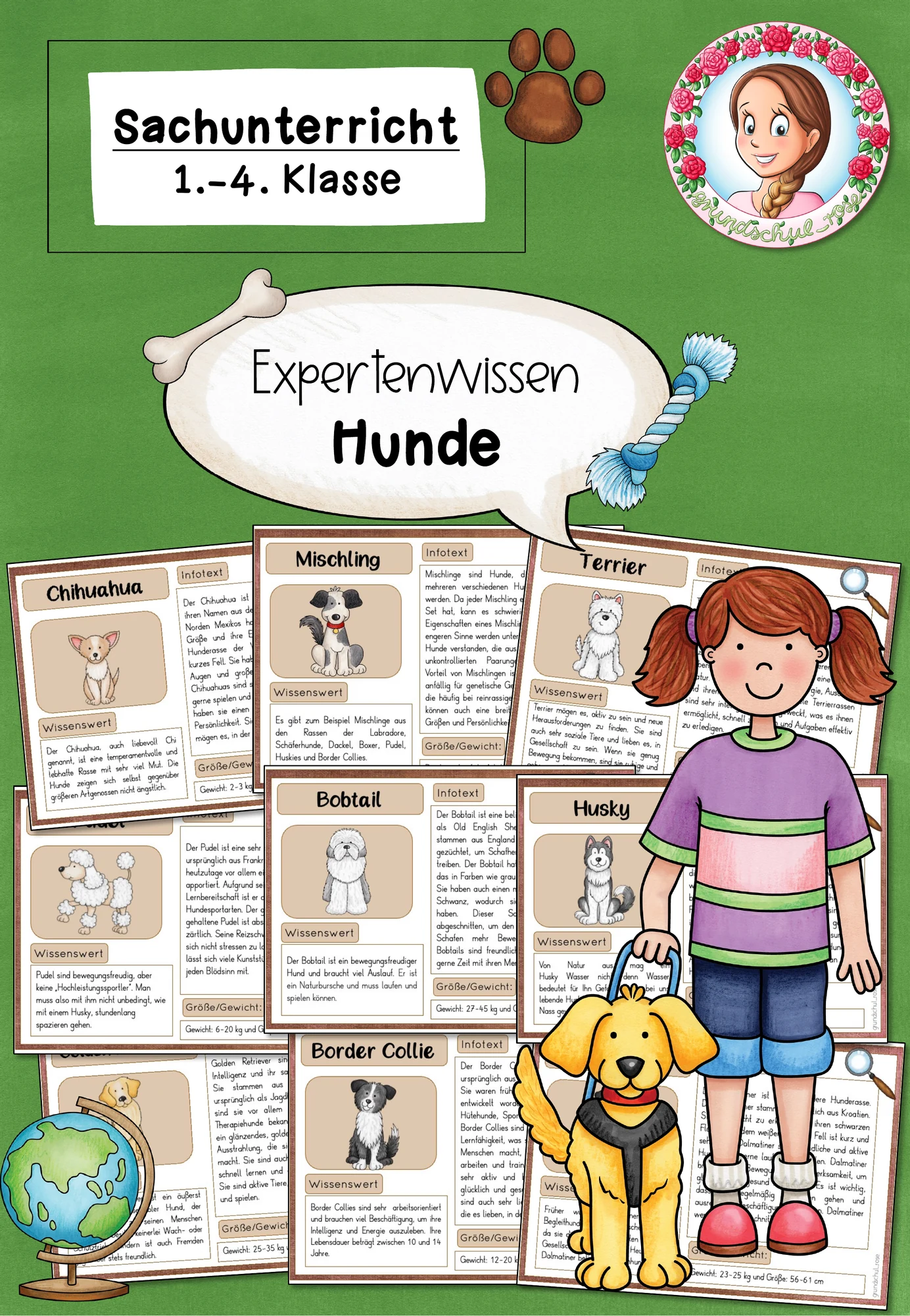 Hunde Wissenskartei | Haustiere Sachunterricht Grundschule