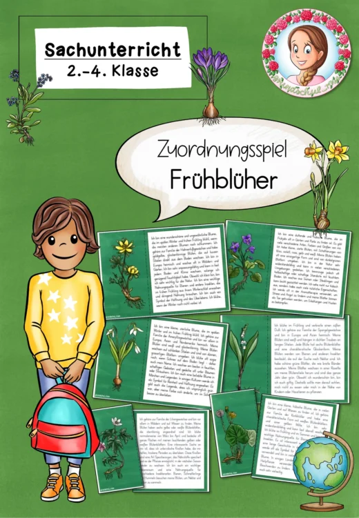 Zuordnungsspiel zu den Frühblühern / Frühblüher (2.-4. Klasse)
