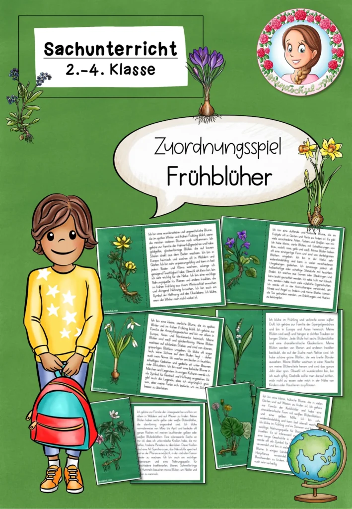 Frühblüher Zuordnungsspiel | Sachunterricht Frühling Klasse 2-4 Cover