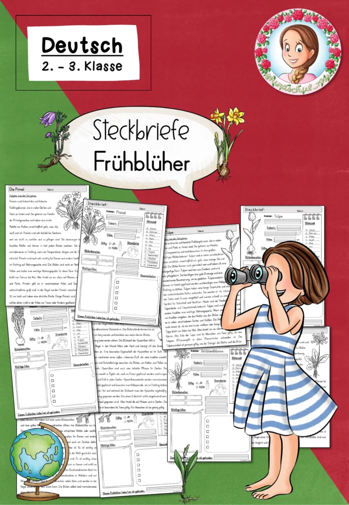 Frühblüher Steckbriefe | Sachunterricht Klasse 2-4 Cover