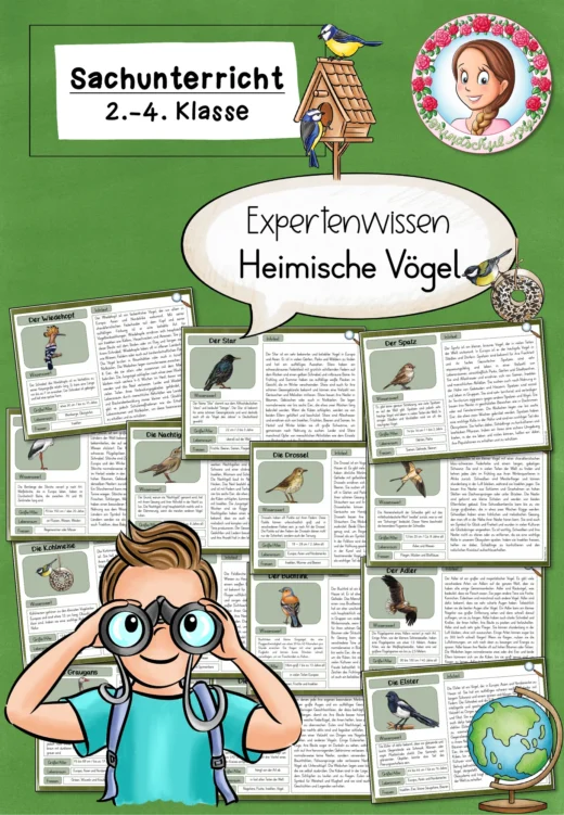 Wissenskartei zu den heimischen Vögeln / heimische Vögel (2.-4. Klasse) Sachunterricht