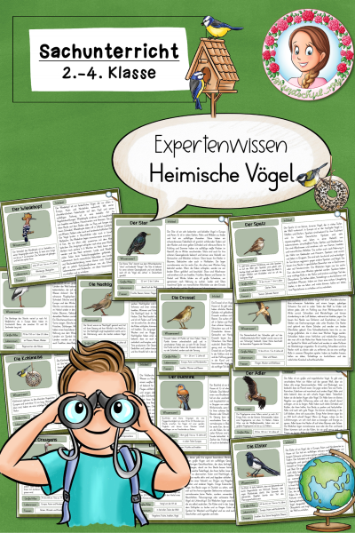 Wissenskartei zu den heimischen Vögeln / heimische Vögel (2.-4. Klasse) Sachunterricht (803698)